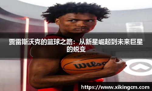 完美体育官网