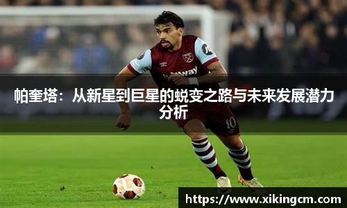 完美体育官网